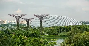 Tree shade reduces urban heat