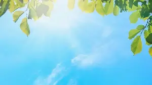 Why Is the Sky Blue?