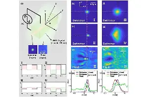 Light beam 'swims' upstream through a quantum fluid by violating Newton's third law