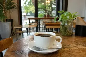 The best morning drink for your liver.