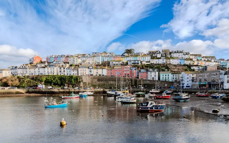 Brixham harbour, where the wildlife-watching trip begins - Rachel Davies / Alamy Stock Photo