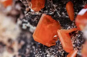 This zircon crystal reveals Earth's history.