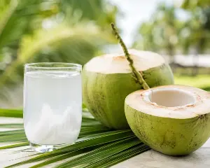 Is aloe vera juice or coconut water better for hydrating the body?