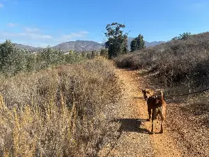Maura Fox: Drive along California's haunted Proctor Valley Road to reach this pleasant hike with reservoir views