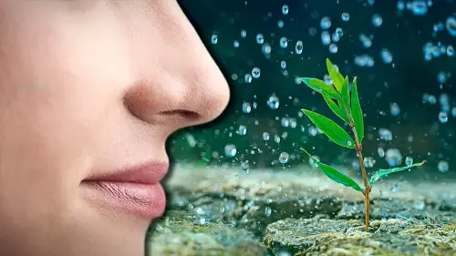 ¿A qué huele la lluvia?
