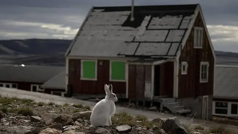 ARCTIC-ENVIRONMENT-GREENLAND-climate