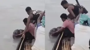 Drowning baby elephant rescued from Teesta River by fishermen, reunited with mother in remarkable video