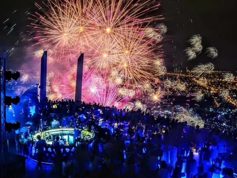 Birds soaring through the dazzling fireworks display from the highest bar in Da Nang.