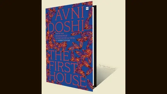 224pp, ₹599; HarperCollins