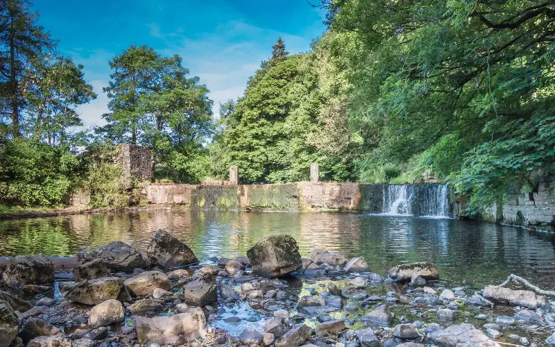 The river Greta in County Durham has inspired both Walter Scott and JMW Turner - Alamy/Richard Laidler