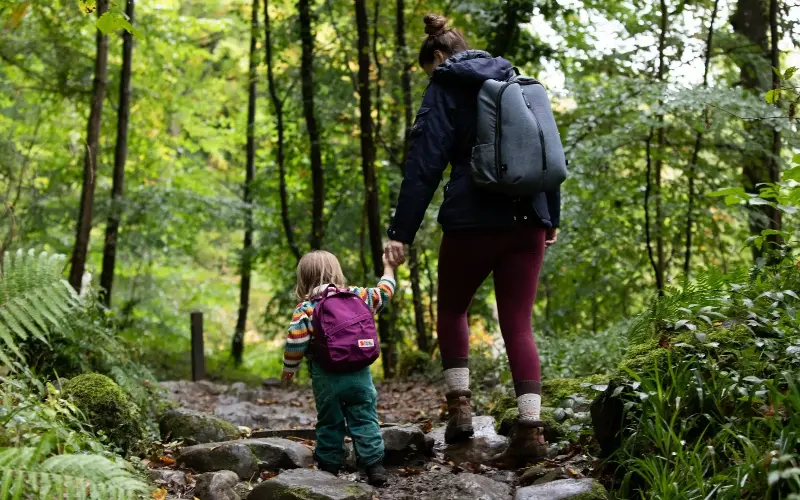 Family walks in Allen Banks during autumn will be accompanied by fiery beech and oak leaves - National Trust Images/Rebecc