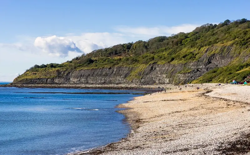 The Undercliff woodland in Dorset has its own microclimate and a rainforest feel - Alamy/incamerastock