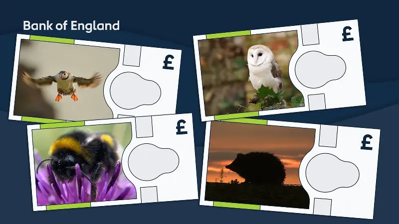 <em>The Bank of England has confirmed the Atlantic puffin, barn owl, buff-tailed bumblebee and European hedgehog will be on the new series of banknotes launching in the next few years</em>