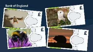 Bank of England confirms the four animals to feature on new banknotes