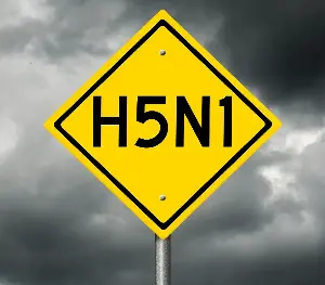 What to know about bird flu in WA