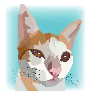 Cats want to talk to us. Scientists are trying to decipher the meow