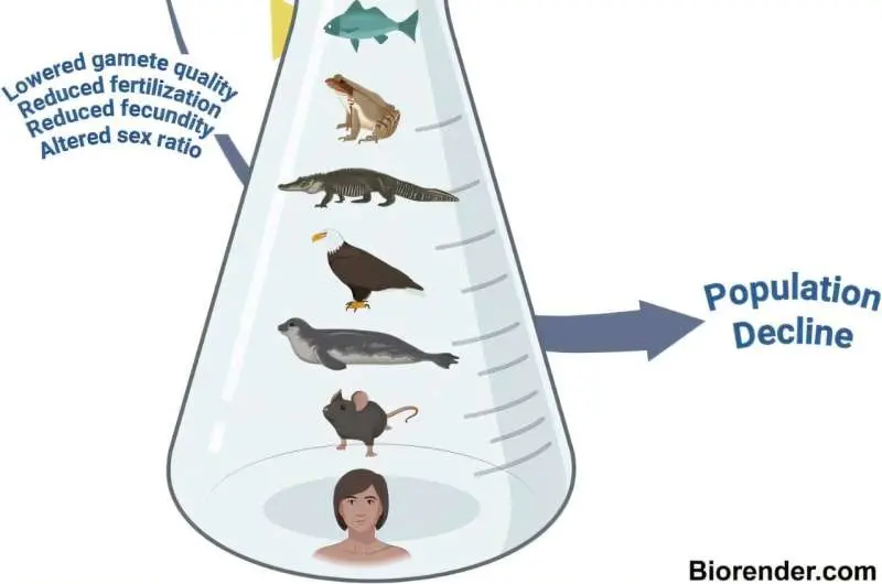 Invisible fertility crisis: Chemicals and climate change threaten reproduction across species