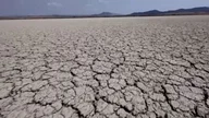 The United Nations warns of the risk of a food crisis due to El Niño.