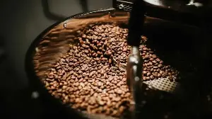 5 Simple Habits That Keep Your Coffee Beans Aromatic & Fresh