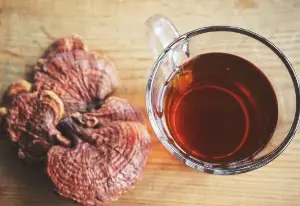 How to use reishi mushrooms correctly and safely.