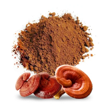 How to use reishi mushrooms correctly and safely - Image 2.