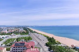 Why aren't forest-beach tours attracting more tourists?