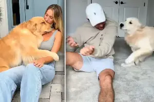 Golden retriever stuns its owners by acting nothing like their first "angel" pup!