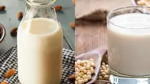Almond Milk vs Soy Milk: Which Plant-Based Dairy Alternative Is Better for Your Health, Weight Loss, and Nutrition?