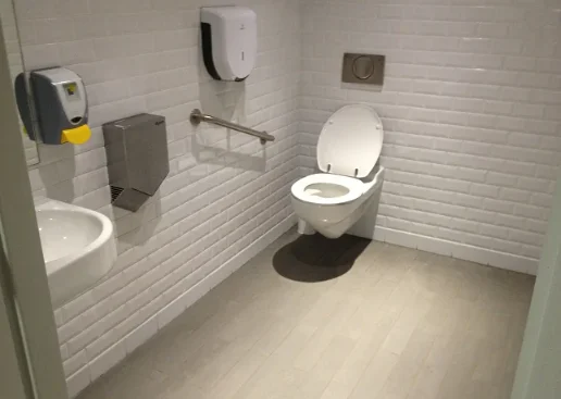 The bathroom smells bad? Try these 5 