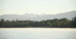 Utah stocks lakes with fish from planes