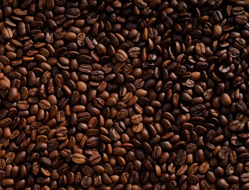 Higher prices in specialty coffee reflect the work that happens long before the beans arrive at a café.