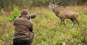Utah's wildlife tracking initiative