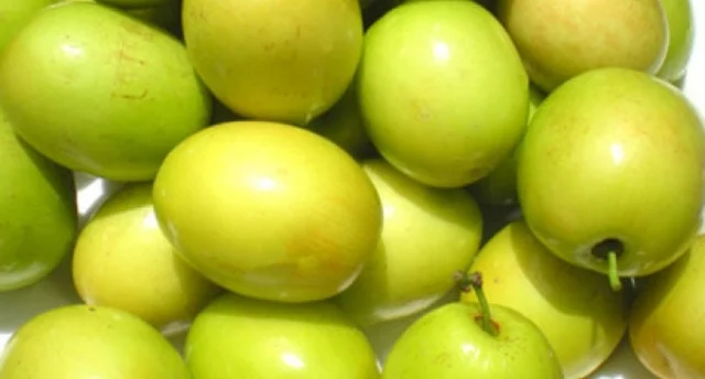 Táo ta có tác dụng gì?- Ảnh 1.