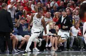 Chelsea Gray saves the day: Aces erase 20-point deficit to escape Fever