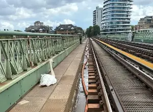 'Swan on tracks' sparks rush-hour delays as DLR line suspended