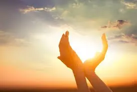 IMA and Abbott Launch Vitamin D Day Initiative Amid Rising Deficiency Concerns