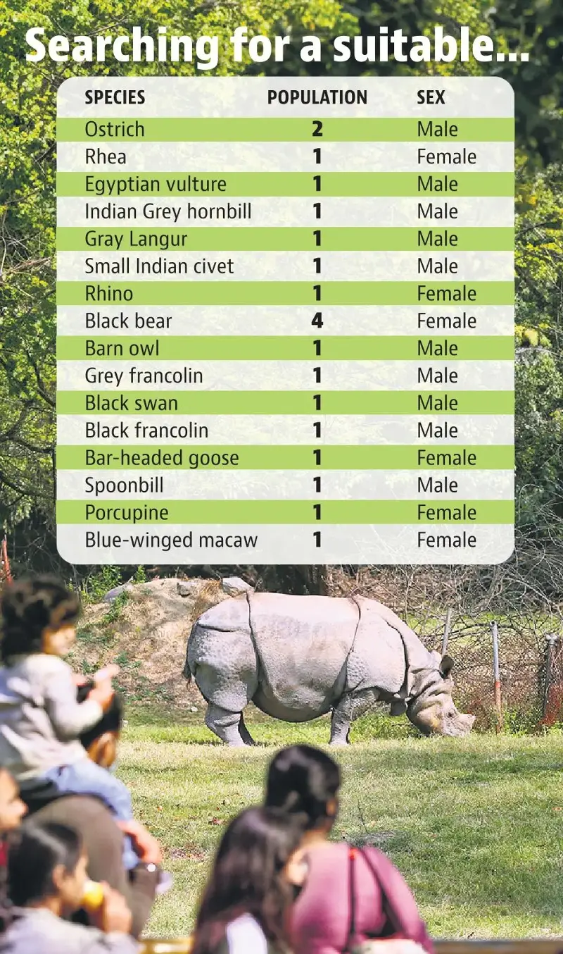 zoo