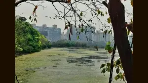 Row erupts over move to roll back wetland status to eight sites, flamingo habitats