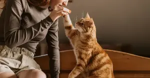 Toxoplasma gondii affects human behavior.
