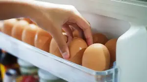 Why Americans Refrigerate Eggs but Europeans Don’t