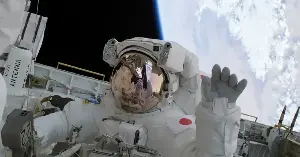 What astronauts actually eat for six months in space — and why almost none of it would survive a single meal in your kitchen without engineering, weight calculations, and a tortilla