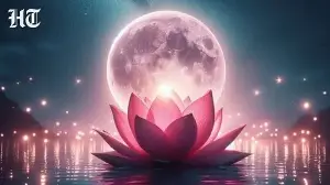 Strawberry Moon 2026: 5 important dos and don'ts you should follow