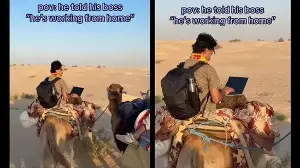 Man takes WFH to next level, attends Zoom call while riding camel in Sahara Desert: 'This is the dream!'