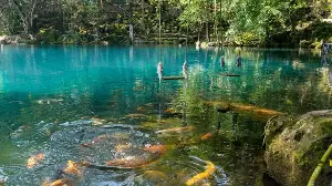 Five Scenic Recreational Spots in Kuningan for a Family Vacation