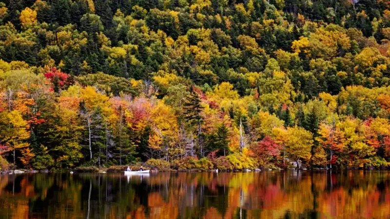 Franconia Notch State Park, New Hampshire.