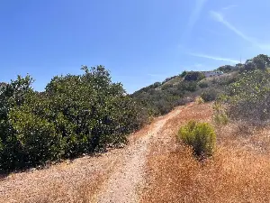 Maura Fox: This trail network connecting communities is a gem in San Diego's Emerald Hills