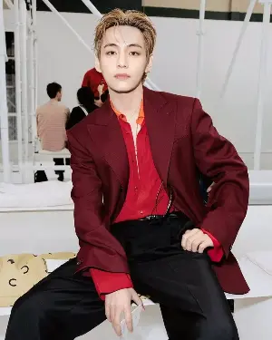 The Main Event in Paris! BTS V Dominates Celine’s 2027 S/S Men’s Collection Show