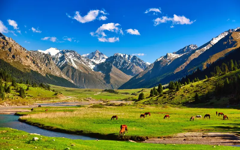 Alpine meadows in Kyrgyzstan, with the Tien Shan mountain range beyond - Nantonov/iStockphoto