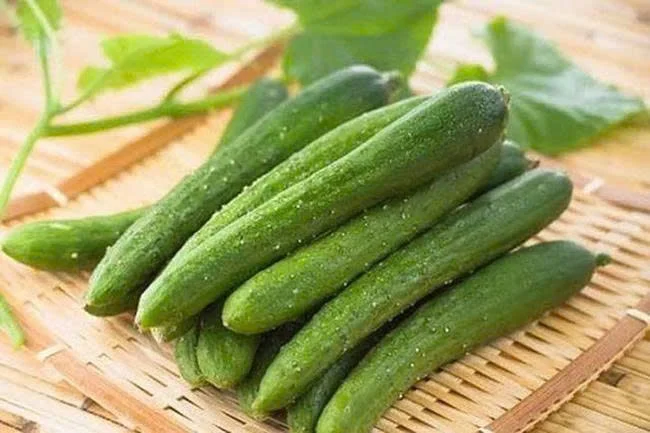 Why are cucumbers bitter, and are they safe to eat in 2026? - Image 2.