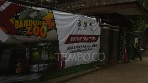 Bandung Zoo Faces Animal Relocation as New Manager Remains Unfound